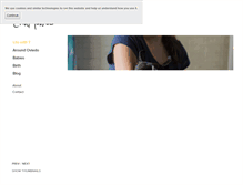 Tablet Screenshot of erinmonroe.com
